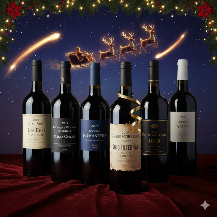 Comet's Festive Deposit Spain Red Wine 6-Pack Bundle