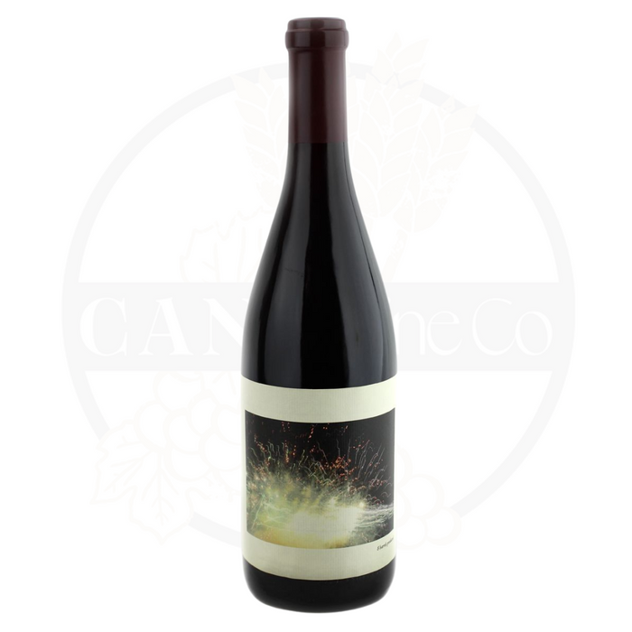 Chanin Los Alamos Vineyard Pinot Noir 2019