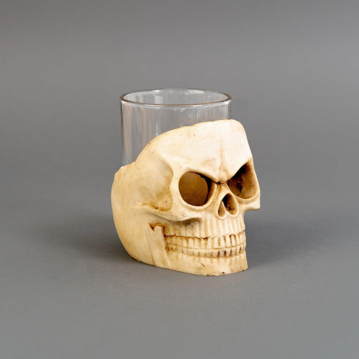 Halloween Skull Shot Glasses